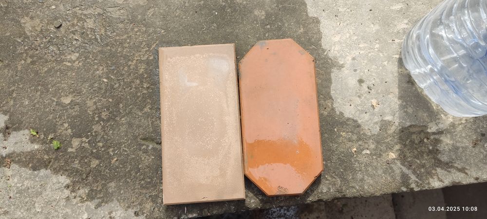 Бурсчатка яхши холата