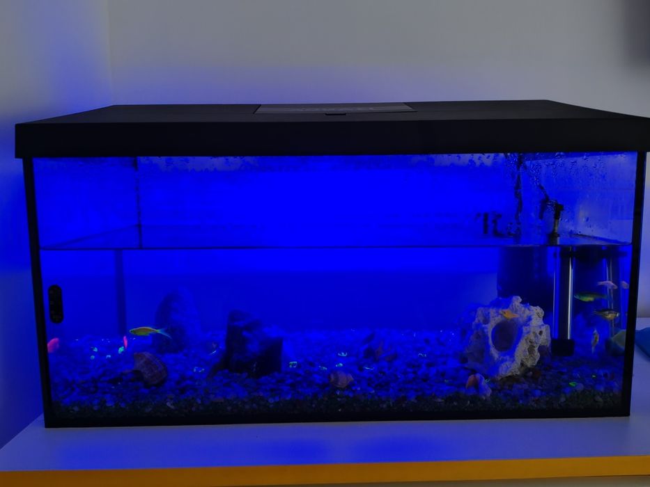 Acvariu 60l, Aquael