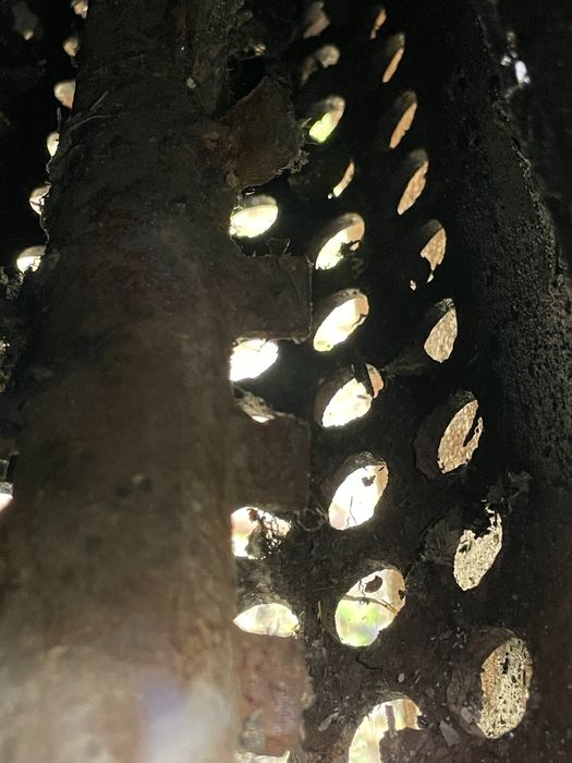 Tocator fructe / porumb