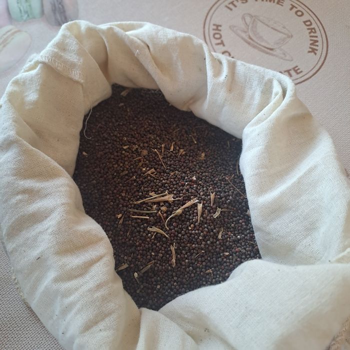 seminte rasad varza romanească