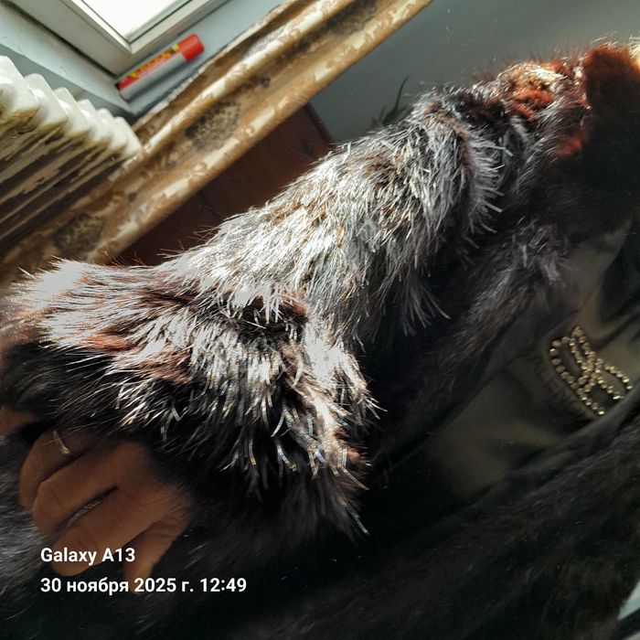 Шубы андатырдын жунінен оргиналь