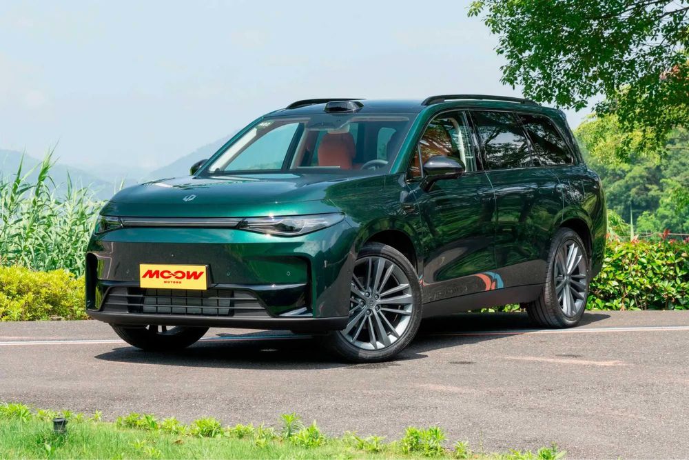 Брызговики для C16 Leapmotor