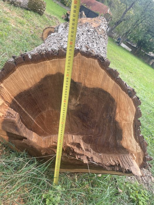 Vand lemn de nuc -trunchi