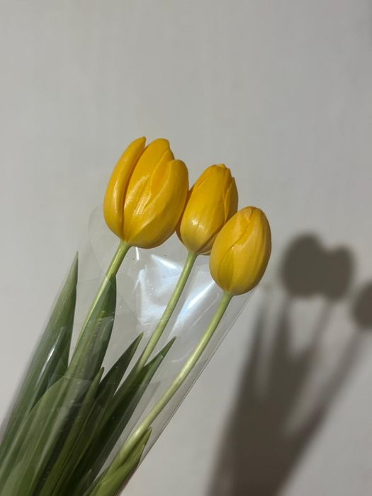 Тюлпаны цветы с доставкой по городу
