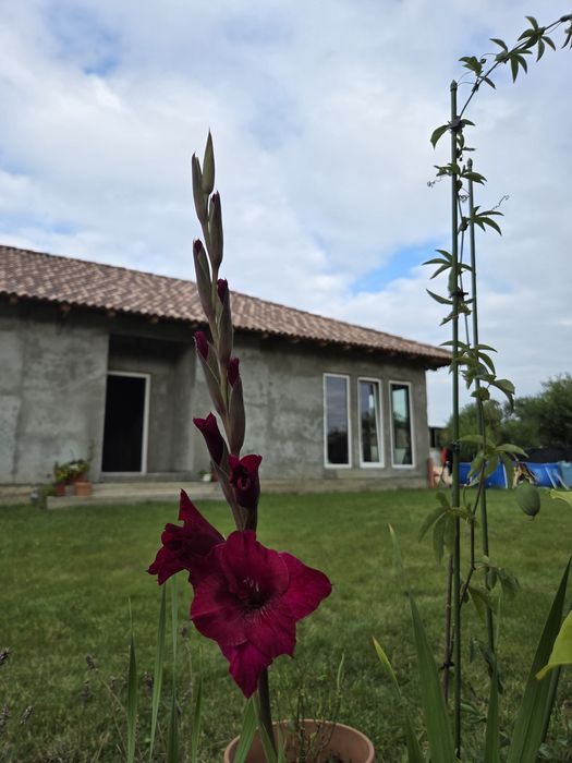 Casa de  vanzare