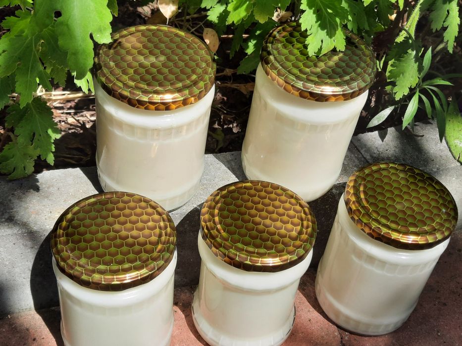 Свинска мас  прясно топена