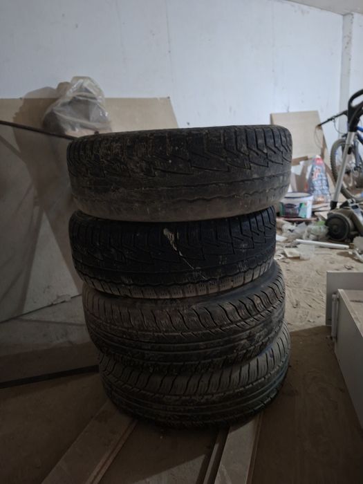 Зимние шины Cordiant