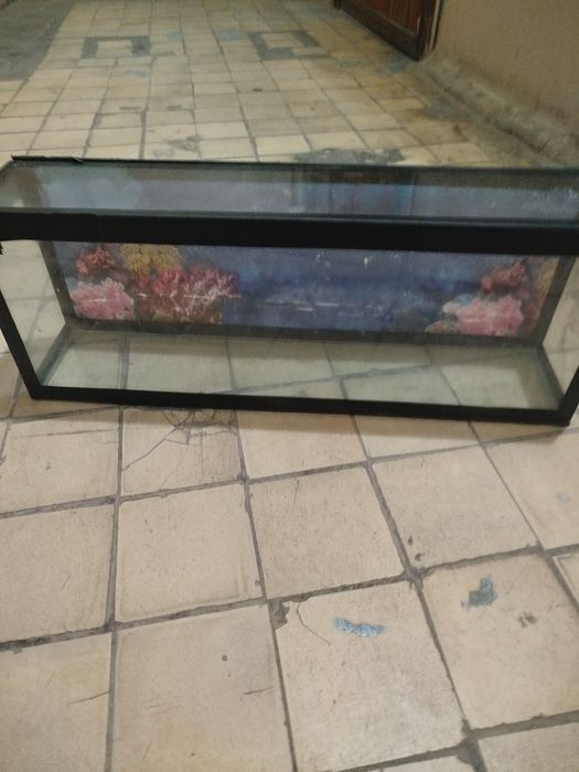 Аквариум для рыбак