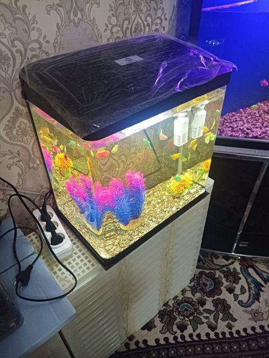 Xitoy 30 litrli akril akvarium komplekti