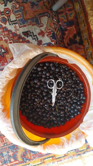 Продам варенье ягоды выращенные на даче.