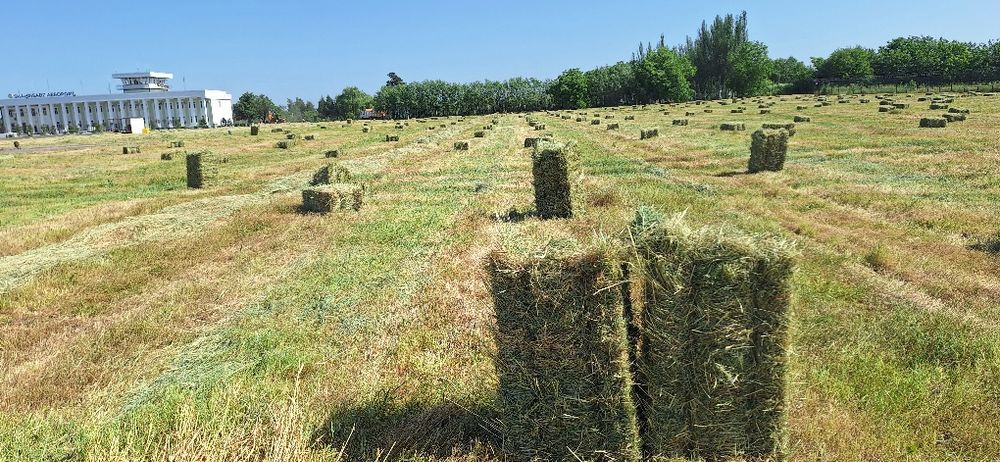 Прис сотилади 1 метирли дагал хашак