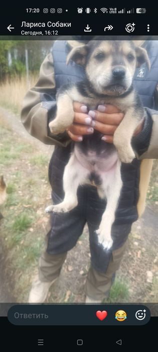 Девчонки и мальчишки ждут своих родителей.!