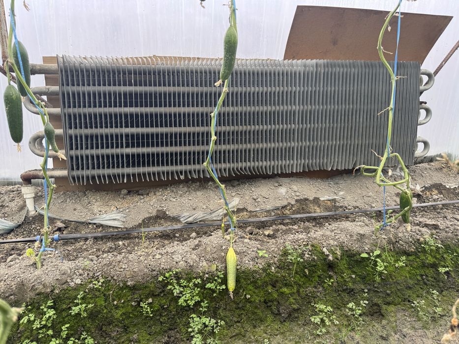 Катта оценковый регистр