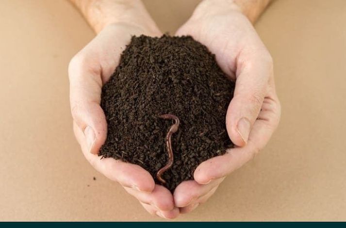 Биогумус  табиғый тыңайтқыш сатлады