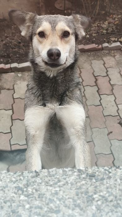 В частный дом охрана