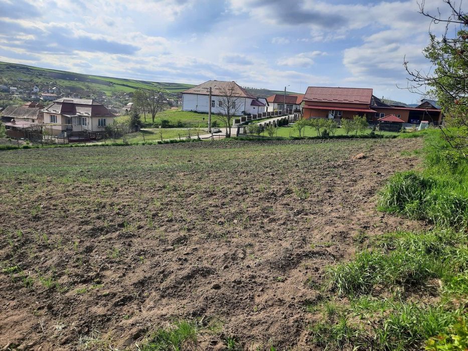 Teren intravilan pentru casa  2000 mp CF , Certificat Urbanism , PUZ , drum asfaltat , utilitati posibilitate dezmembrare in 2 parcele
