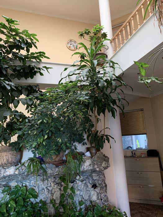 Продава се Къща в Банкя - 400 кв.м за 1900 €/кв.м - Снимка #1