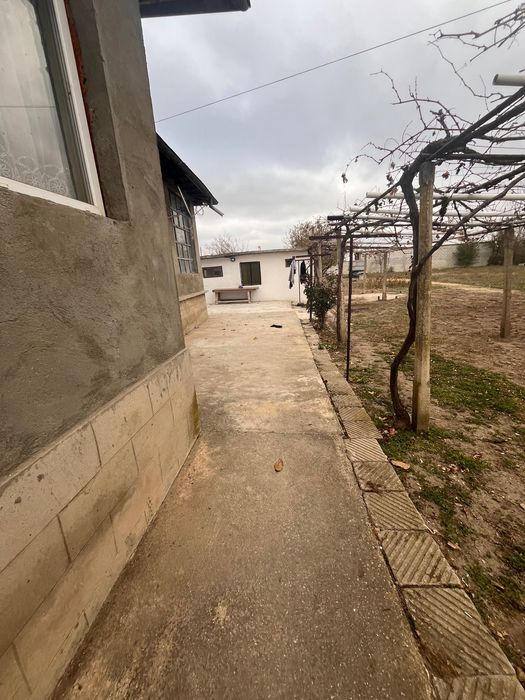 Продава се Къща в с. Царевци, Област Варна - 2000 кв.м за 18 €/кв.м - Снимка #1