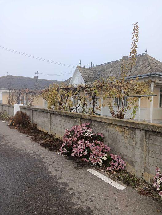 Casa + teren de vanzare - Halaucesti, jud. Iasi