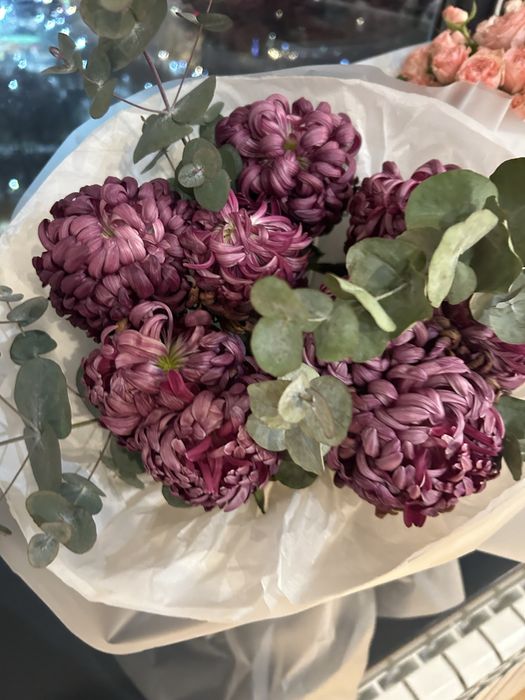 Цветы 9 хризантем