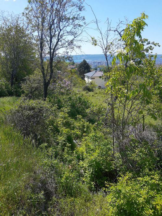 Продава се Парцел в Варна, Базар Левски - 2107 кв.м за 99 €/кв.м - Снимка #7