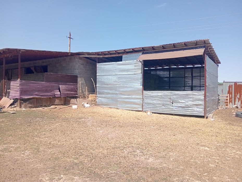 Фазенда 1 гектар