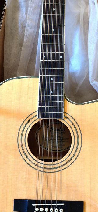 12 струнная Акустическая гитара