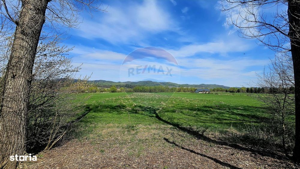 Teren 10,000mp Nemtisor / DJ 155C