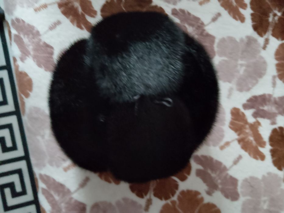 Продам шапку формовку.