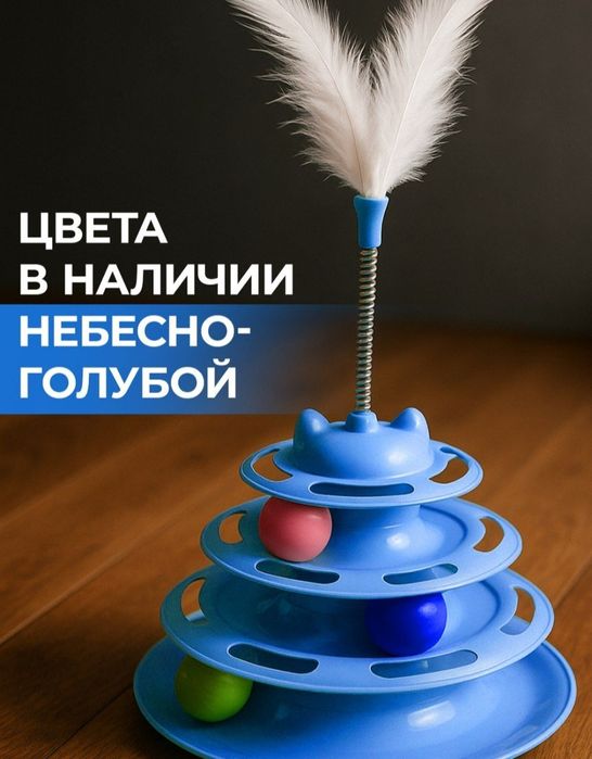 Mushuk skotish fold oʻgʻil toza zot