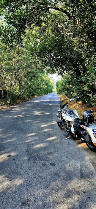 Suzuki Boulevard C90T