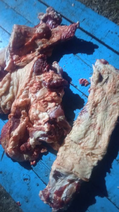 Говядины, семіз ет достовка