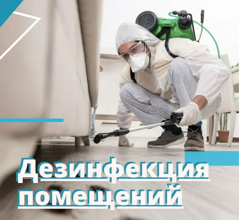 Уничтожение насекомых