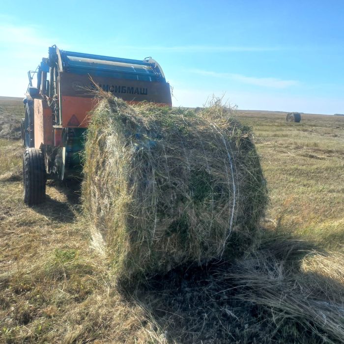 Продам сено с поля
