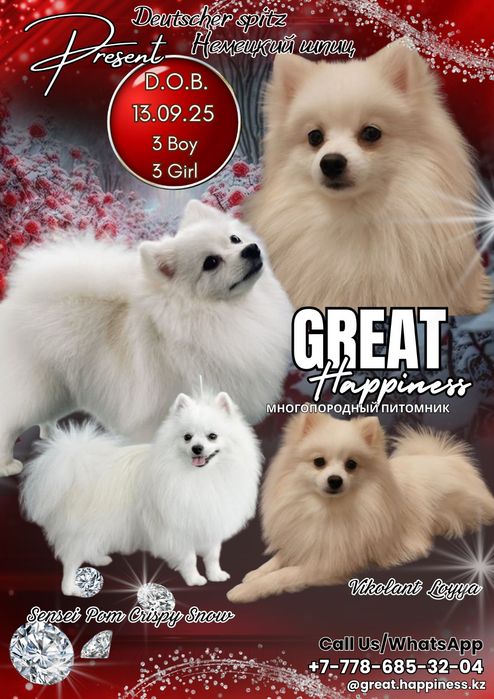 Питомник предлагает щенков разных пород