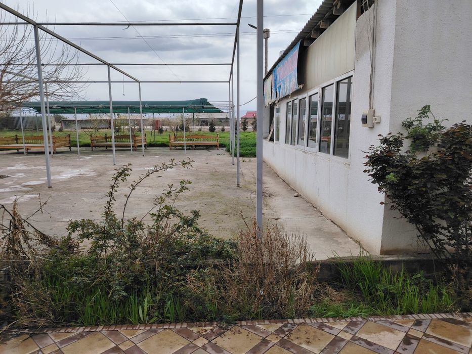 Чойхона нотурар жой тайёр безниси билан.