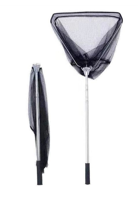 Bulbul  lavushka bor