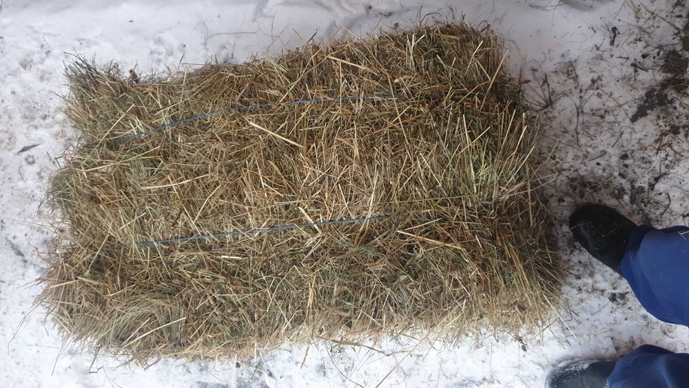 Vand baloti de fan ,productie 2025