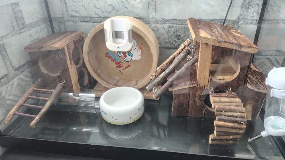 Vând acvariu pești 60 litri sau hamsteri (cușcă hamsteri).