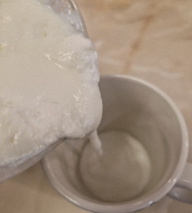 Ciuperca tibetana de kefir lapte