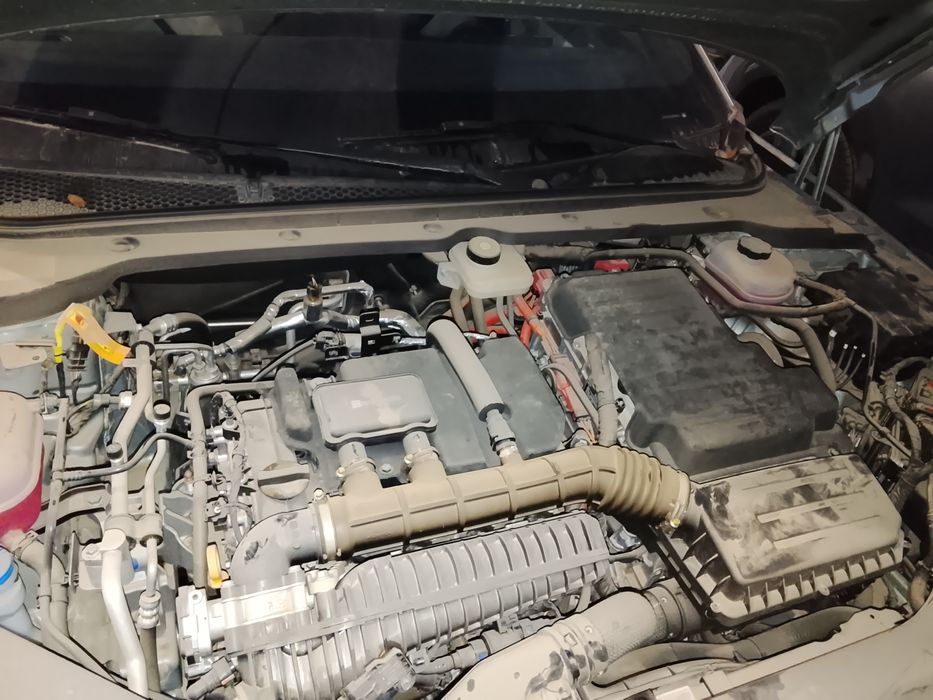 Build your dream seal 06