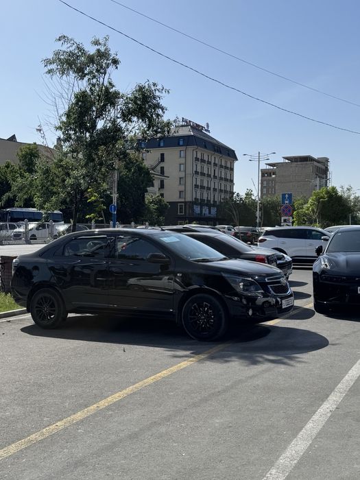 Cobalt MIDNIGHT 2025