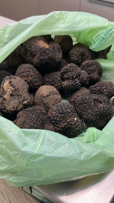 Trufe negre /Tartufi/Truffles