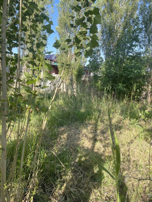 Ховлини ярими сотилади Зангата райони (текистил)