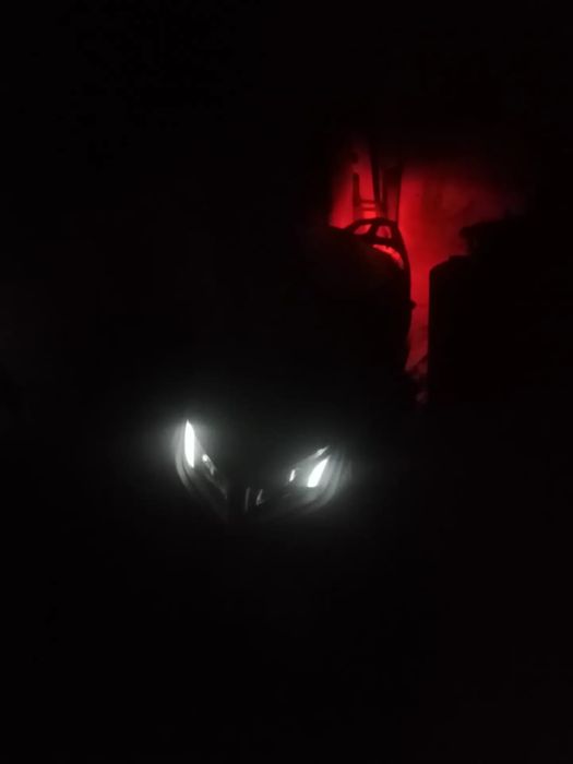 Мапед м8 состоение жаксы