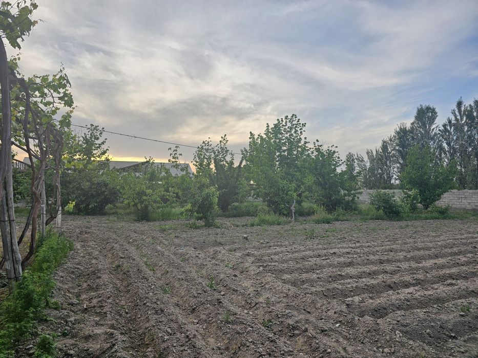 Yer uchastka 16sotix