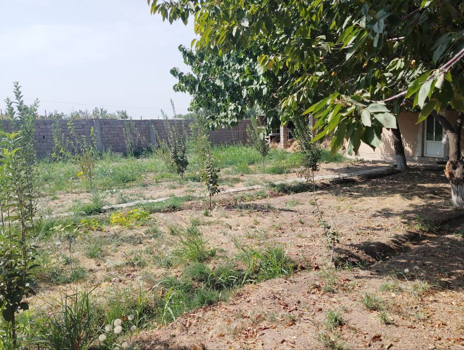 6 sotix yer sotiladi