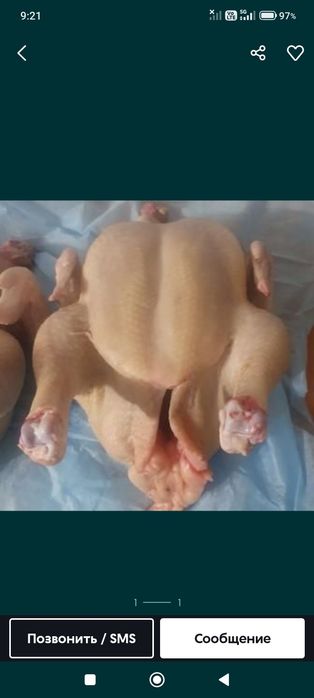 Продам домашнее мясо бройлера