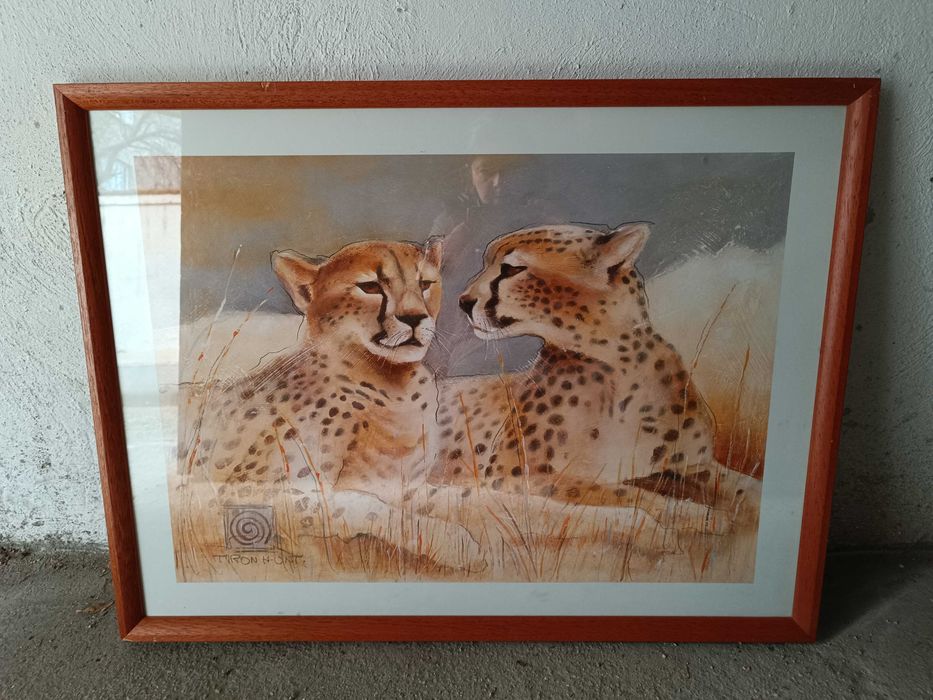 Рамка за снимка фото дърво