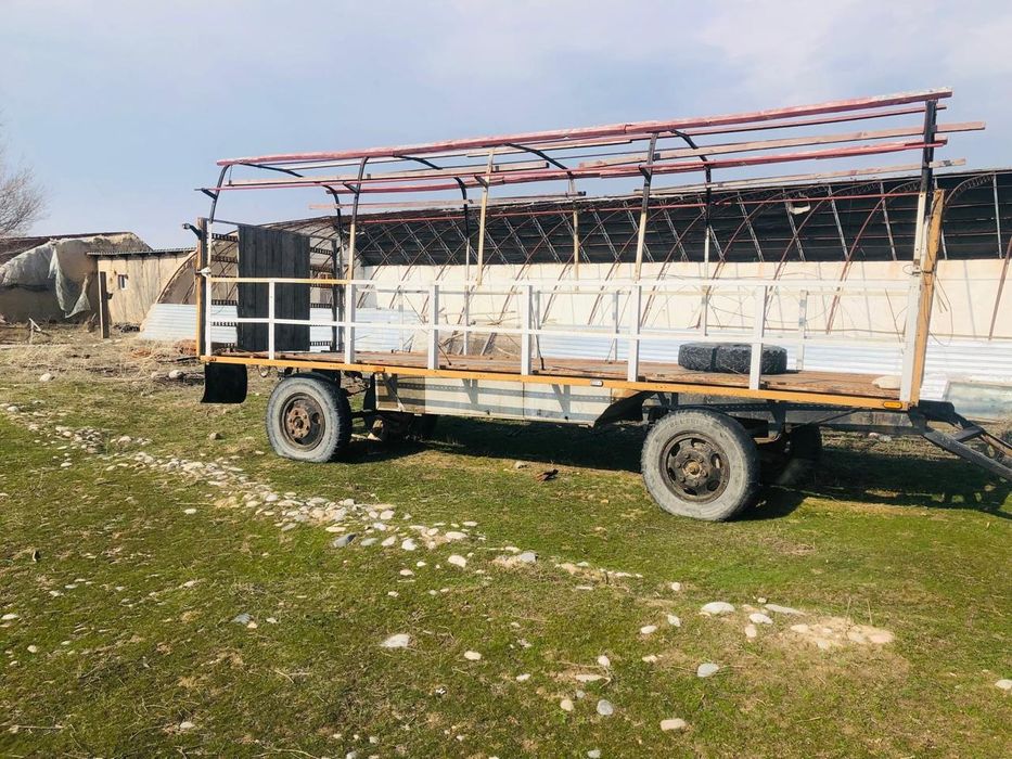 Пчелоприцеп газоновский